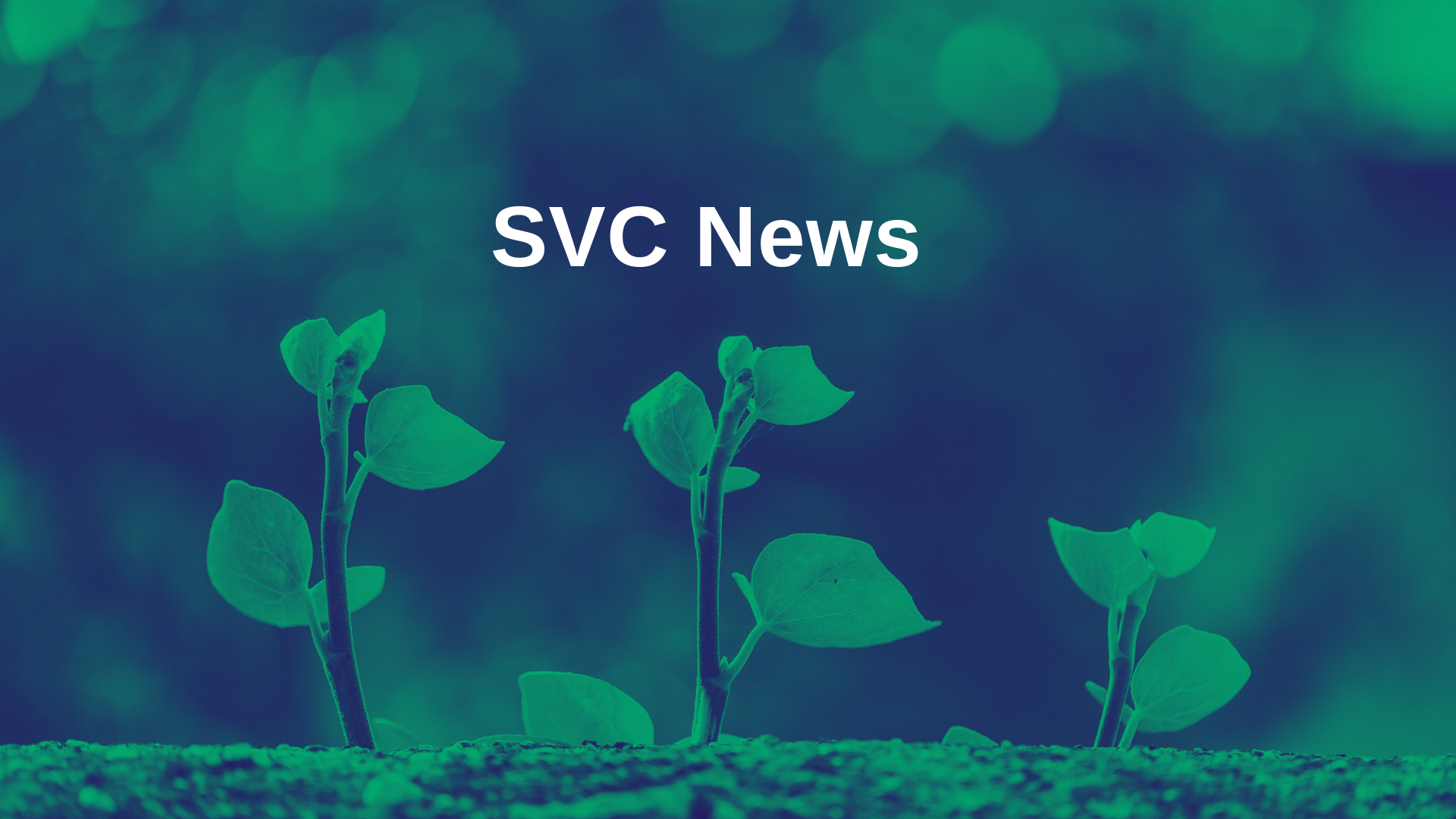 SVC News